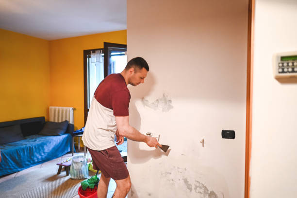 Best Black Mold Remediation in Tappan, NY
